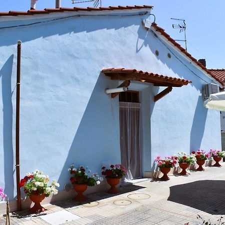 Villino La Perla Azzurra- Marina Di Pisa 빌라 외부 사진