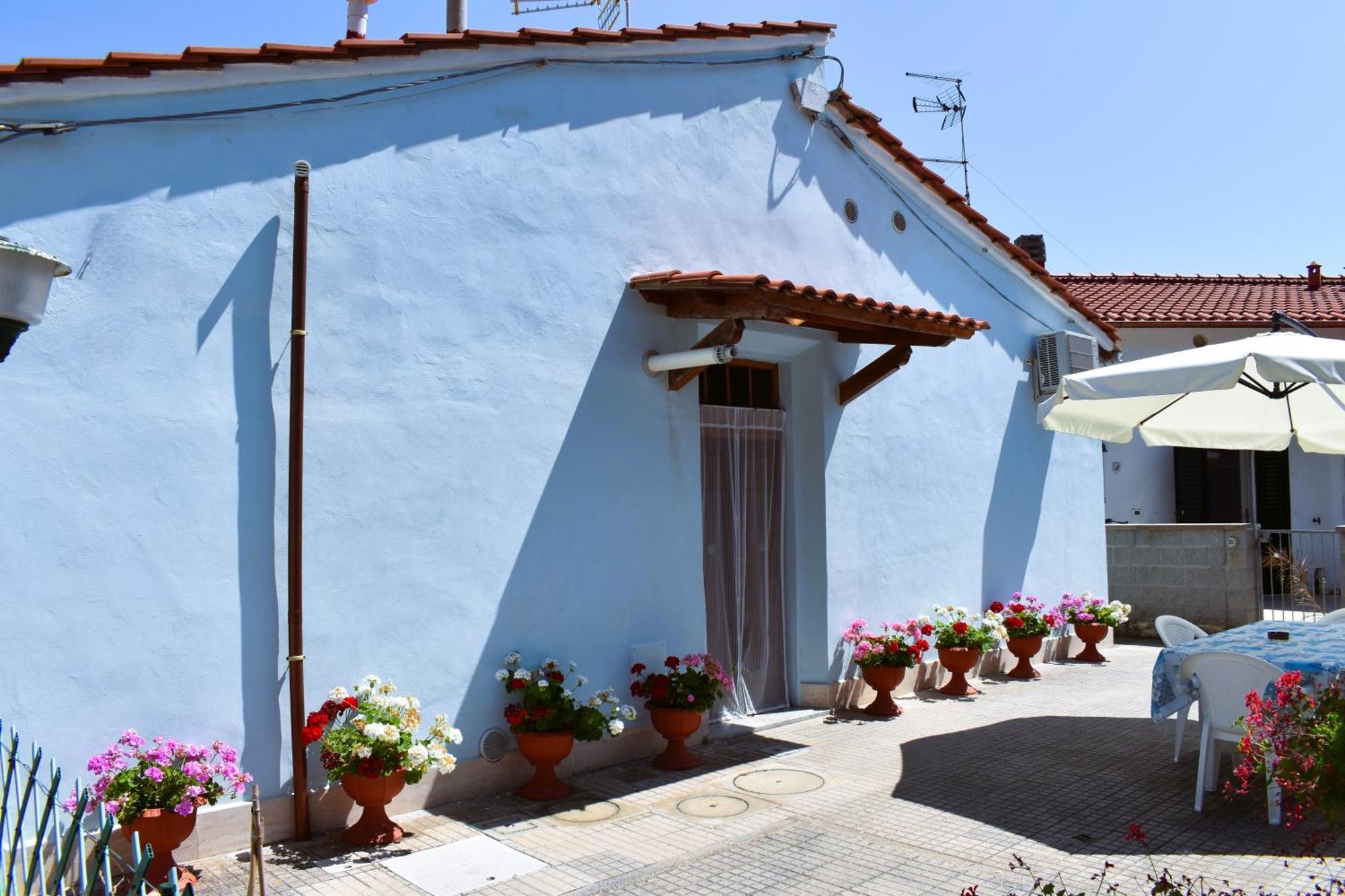 Villino La Perla Azzurra- Marina Di Pisa 빌라 외부 사진