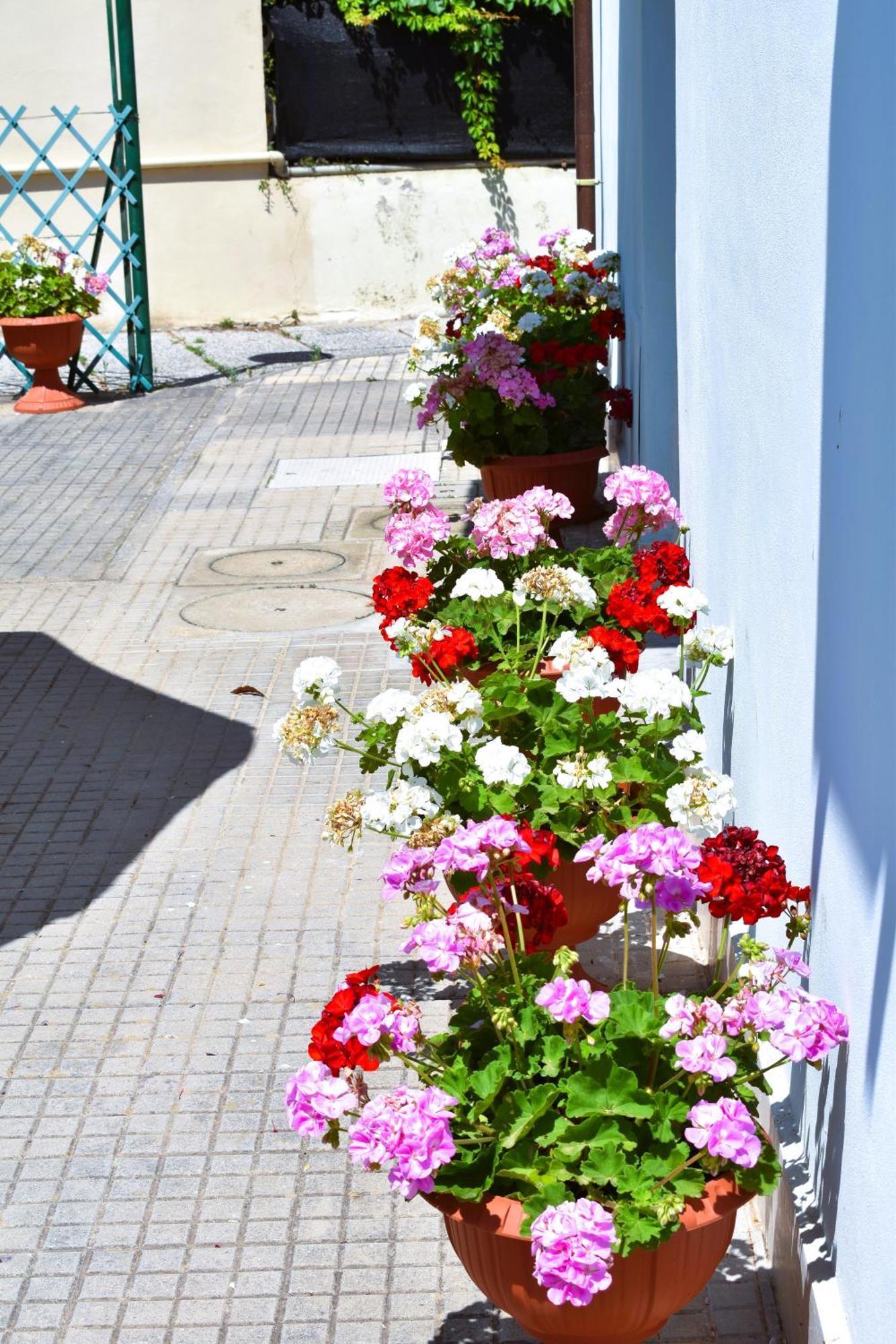 Villino La Perla Azzurra- Marina Di Pisa 빌라 외부 사진